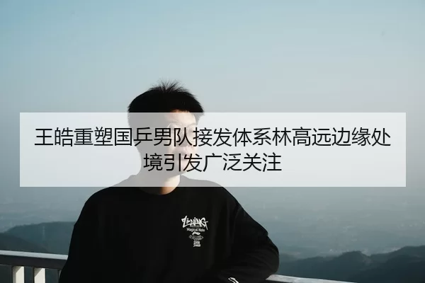 王皓重塑国乒男队接发体系林高远边缘处境引发广泛关注