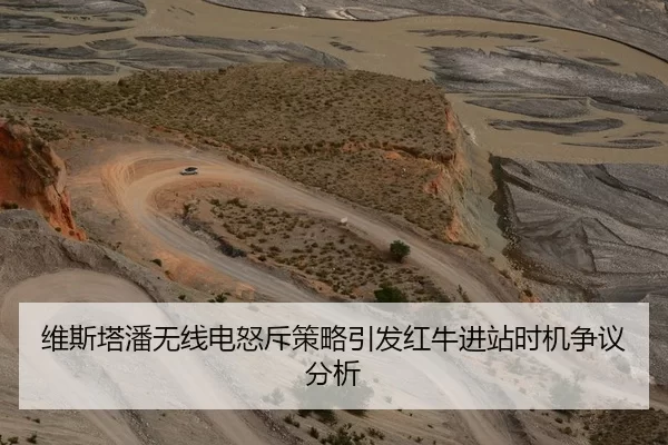 维斯塔潘无线电怒斥策略引发红牛进站时机争议分析