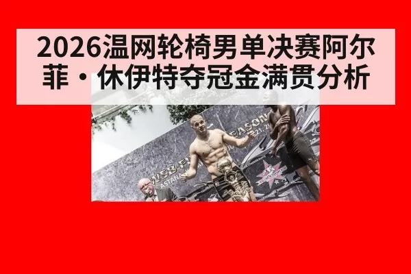 2026温网轮椅男单决赛阿尔菲·休伊特夺冠金满贯分析