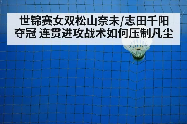 badminton net play
