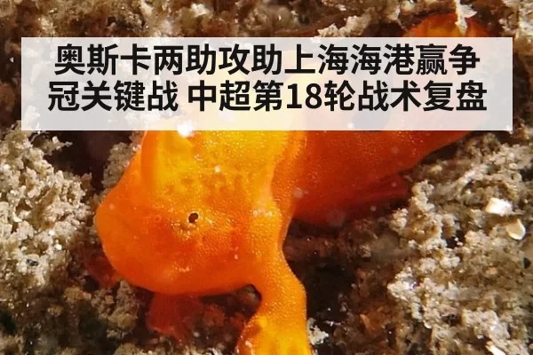 奥斯卡两助攻助上海海港赢争冠关键战 中超第18轮战术复盘