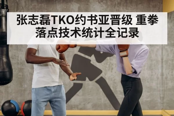 张志磊TKO约书亚晋级 重拳落点技术统计全记录