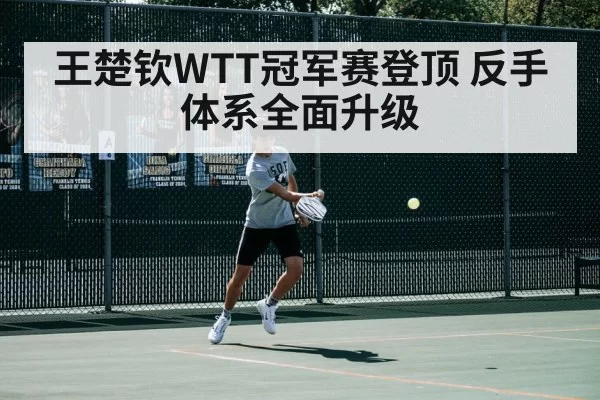 王楚钦WTT冠军赛登顶 反手体系全面升级