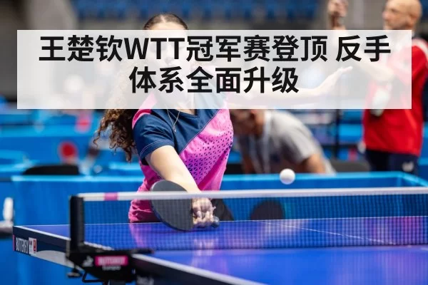 table tennis champion
